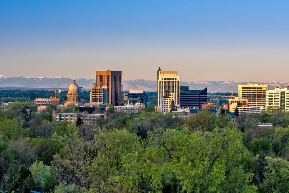 A view of the Boise skyline, across tress int he foreground. The state capitol is visible amongst other office buildings.